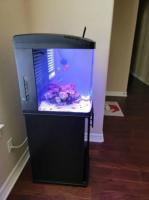 reef aquarium/fish tank